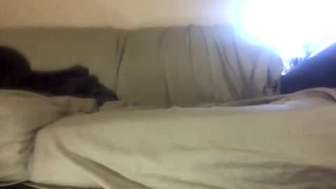 Biglongdong99 online show from 04-22-26, 09:16