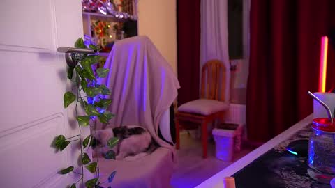 Snapshot of fox_and_dog chatting on 12-02-25, 04:51 Senya subscribe to telegram channel online show from 12-02-25, 04:51