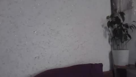 fox_red_lady7 online show from 12-16-25, 10:53