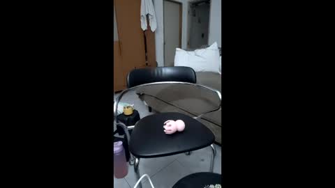 foxrido online show from 04-30-26, 09:19