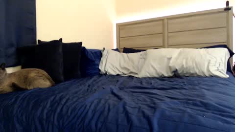 Snapshot of fragilemasochist chatting on 12-05-24, 03:39 Angel online show from 12-05-24, 03:39