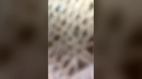 Snapshot of fransicus1988 chatting on 03-19-26, 09:46 fransicus1988 online show from 03-19-26, 09:46