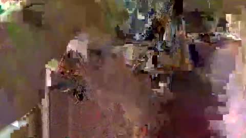 Squirrel twink online show from 11-23-25, 03:39