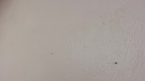 Snapshot of freaky_luna chatting on 05-22-26, 05:25 luna online show from 05-22-26, 05:25