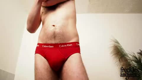 Snapshot of frecklesandjames chatting on 06-23-26, 01:42 frecklesandjames online show from 06-23-26, 01:42