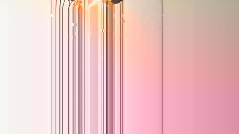 frenchcouple739 online show from 12-13-24, 04:38