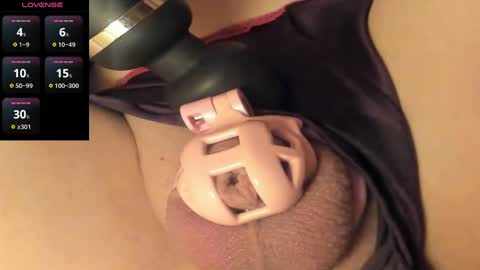 Meadow online show from 01-11-25, 12:29