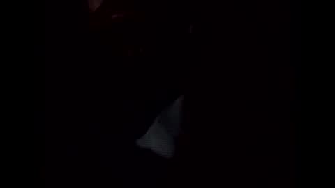 Snapshot of frickish chatting on 01-22-25, 11:21 Frickish online show from 01-22-25, 11:21
