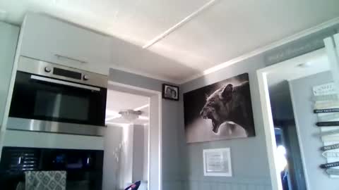 bob online show from 12-02-25, 10:53