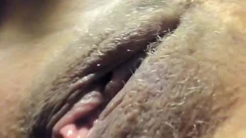 Snapshot of frumcake chatting on 12-30-24, 12:32 FrumCake online show from 12-30-24, 12:32