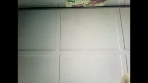 Snapshot of fucmebudoo chatting on 12-17-24, 03:28 Warwick online show from 12-17-24, 03:28