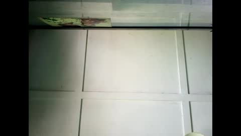 Snapshot of fucmebudoo chatting on 12-23-24, 02:24 Warwick online show from 12-23-24, 02:24