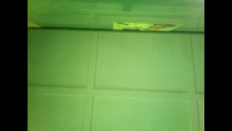 Snapshot of fucmebudoo chatting on 12-27-24, 06:57 Warwick online show from 12-27-24, 06:57