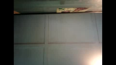 Snapshot of fucmebudoo chatting on 12-31-24, 01:26 Warwick online show from 12-31-24, 01:26