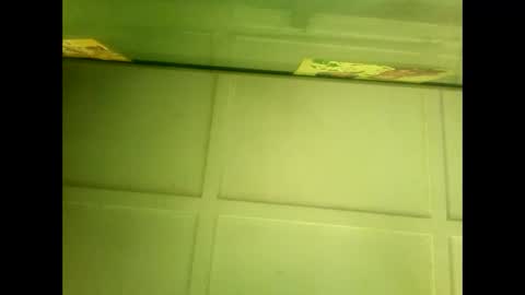 Snapshot of fucmebudoo chatting on 01-07-25, 05:43 Warwick online show from 01-07-25, 05:43