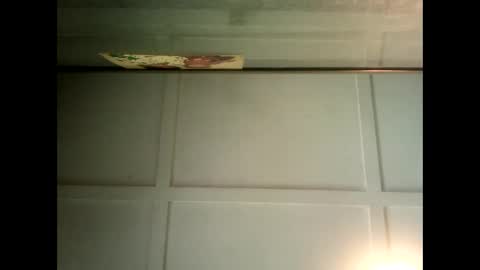 Snapshot of fucmebudoo chatting on 01-31-25, 04:03 Warwick online show from 01-31-25, 04:03