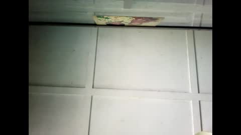 Snapshot of fucmebudoo chatting on 02-24-25, 01:02 Warwick online show from 02-24-25, 01:02