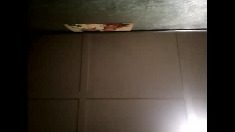 Snapshot of fucmebudoo chatting on 02-28-25, 01:03 Warwick online show from 02-28-25, 01:03