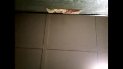 Snapshot of fucmebudoo chatting on 03-04-25, 10:35 Warwick online show from 03-04-25, 10:35