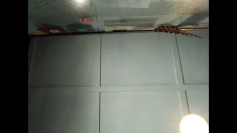 Snapshot of fucmebudoo chatting on 09-29-25, 01:00 Warwick online show from 09-29-25, 01:00