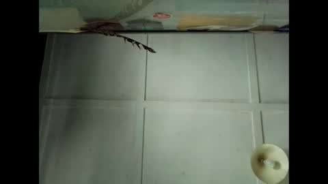 Snapshot of fucmebudoo chatting on 10-04-25, 12:41 Warwick online show from 10-04-25, 12:41