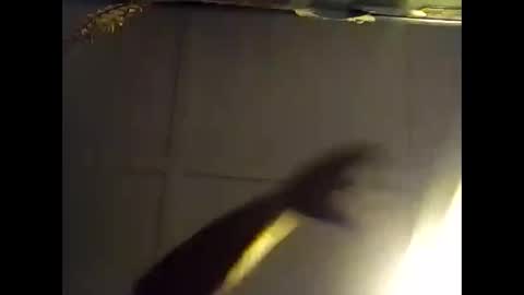 Snapshot of fucmebudoo chatting on 10-28-25, 07:34 Warwick online show from 10-28-25, 07:34