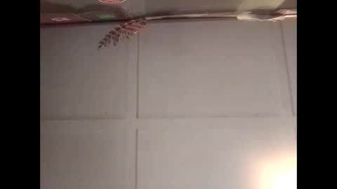 Snapshot of fucmebudoo chatting on 10-30-25, 11:16 Warwick online show from 10-30-25, 11:16