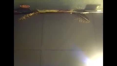 Snapshot of fucmebudoo chatting on 11-02-25, 07:44 Warwick online show from 11-02-25, 07:44