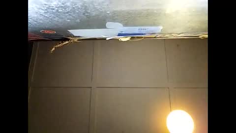 Snapshot of fucmebudoo chatting on 11-29-25, 09:23 Warwick online show from 11-29-25, 09:23