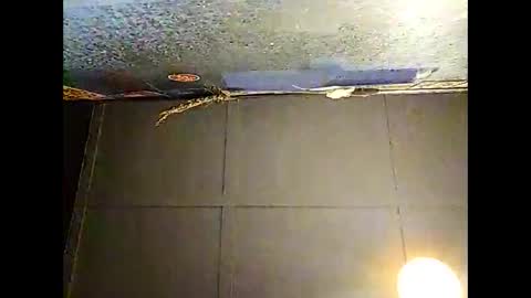 Snapshot of fucmebudoo chatting on 11-30-25, 10:30 Warwick online show from 11-30-25, 10:30