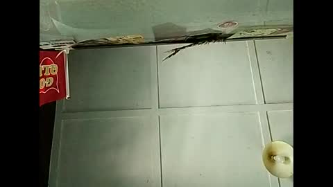 Snapshot of fucmebudoo chatting on 12-03-25, 02:41 Warwick online show from 12-03-25, 02:41