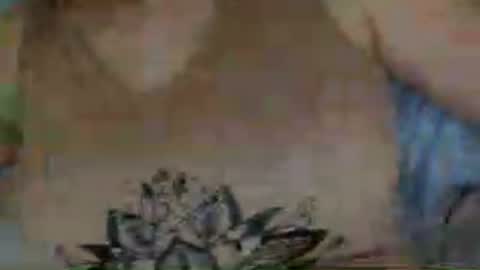Fun9684 online show from 07-12-26, 02:30