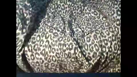 Snapshot of funcyman3 chatting on 04-15-26, 04:03 funcyman3 online show from 04-15-26, 04:03