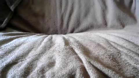 BigLoadsJoe online show from 02-24-25, 06:58