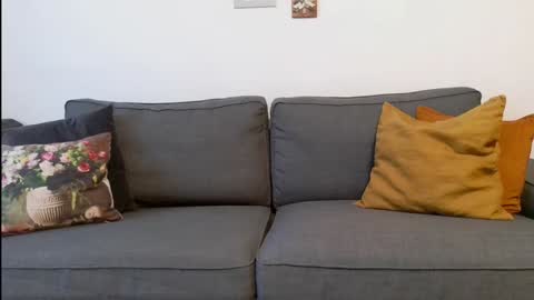 funservice online show from 12-17-24, 09:17