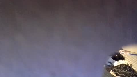 funsunny online show from 07-25-26, 03:37