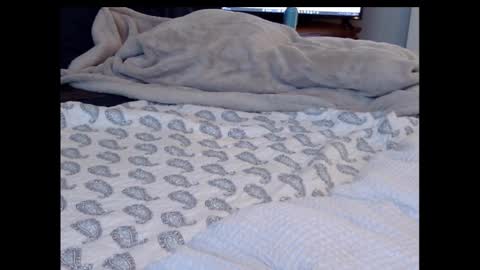 Funtimz16 online show from 02-13-25, 08:34