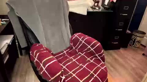 Snapshot of furryhugs69 chatting on 02-21-25, 02:16 Erich online show from 02-21-25, 02:16