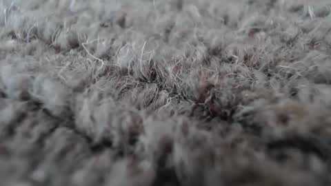 Mark online show from 01-19-26, 05:11