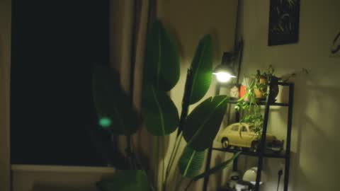 G online show from 02-26-26, 07:24