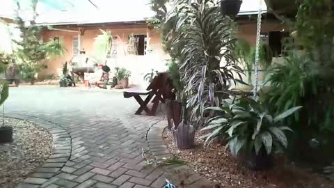 gaby  layla online show from 01-31-25, 08:22