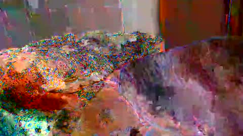 gaby  layla online show from 11-17-25, 10:04