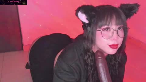 PROXIMO SHOW NOVIEMBRE 16   NEXT SHOW NOVEMBER  16    online show from 12-20-24, 01:03