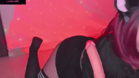 PROXIMO SHOW NOVIEMBRE 16   NEXT SHOW NOVEMBER  16    online show from 01-06-25, 02:48