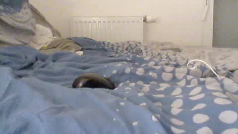Snapshot of gamane3575 chatting on 07-10-26, 07:12 gamane3575 online show from 07-10-26, 07:12