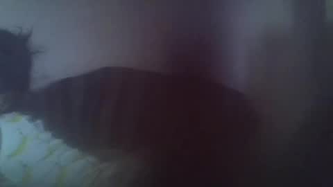 gasielah online show from 01-27-25, 01:19