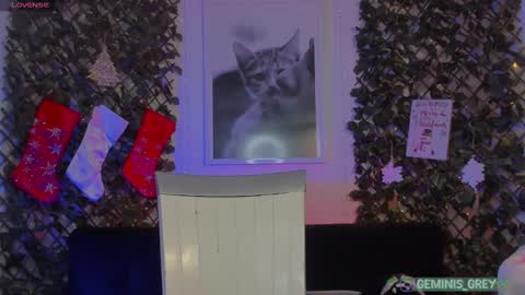 Snapshot of geminis_grey chatting on 02-26-25, 04:14 Geminis online show from 02-26-25, 04:14