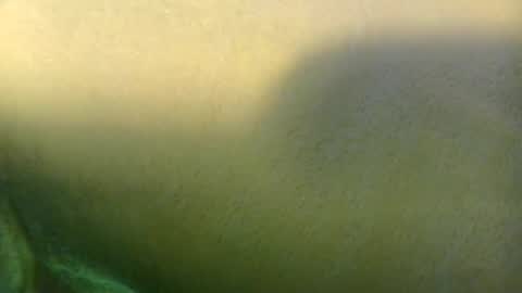georgempt online show from 07-24-26, 09:46