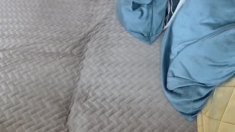 Snapshot of georgiapeachgirl chatting on 02-17-26, 11:29 Melissa online show from 02-17-26, 11:29