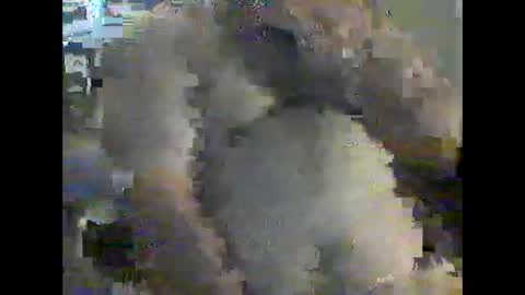 Snapshot of gerabo chatting on 12-21-24, 04:57 gerabo online show from 12-21-24, 04:57